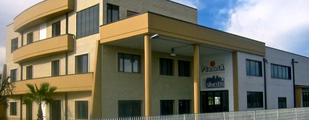 publidea